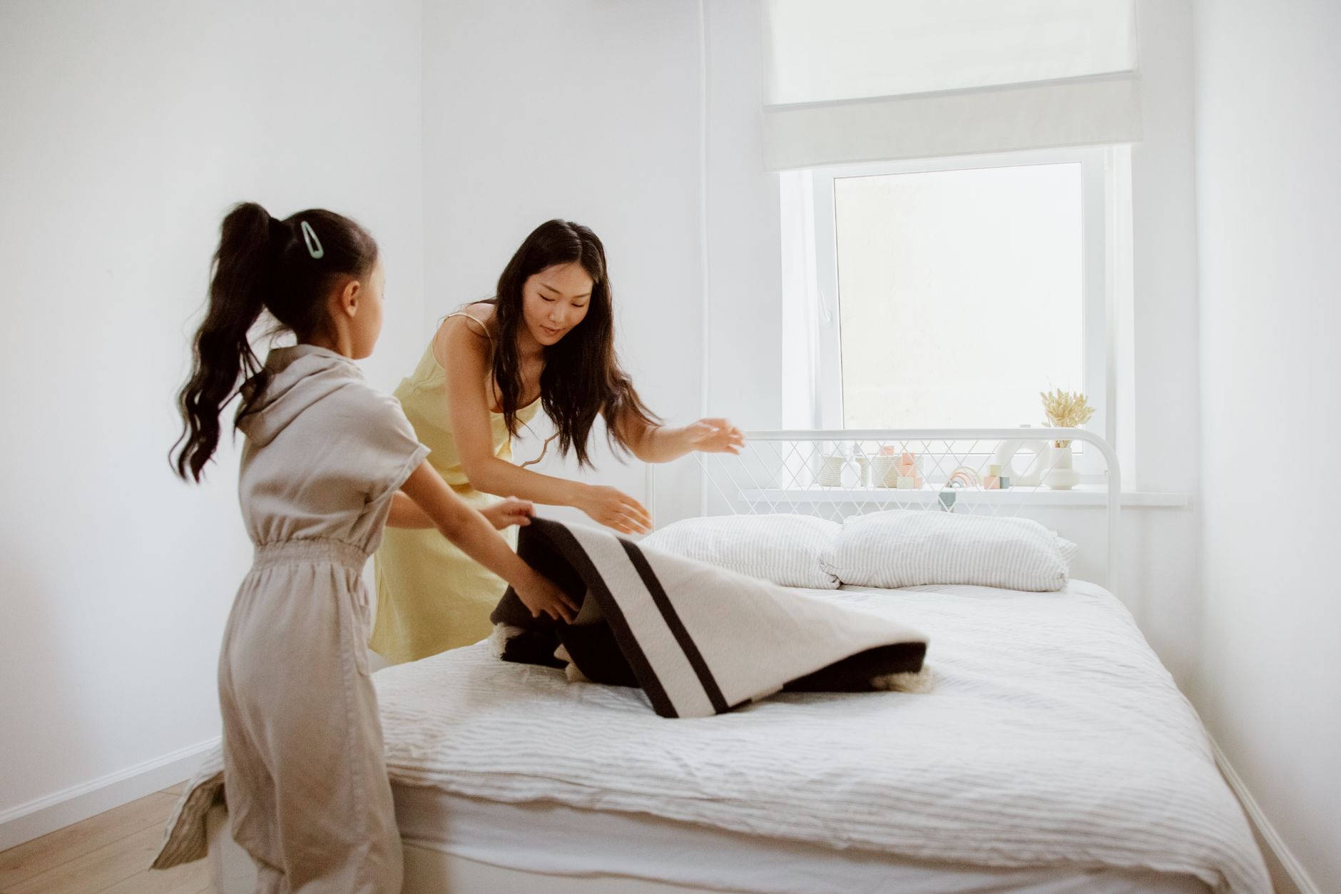 Comparatif des meilleurs tapis pour animaux