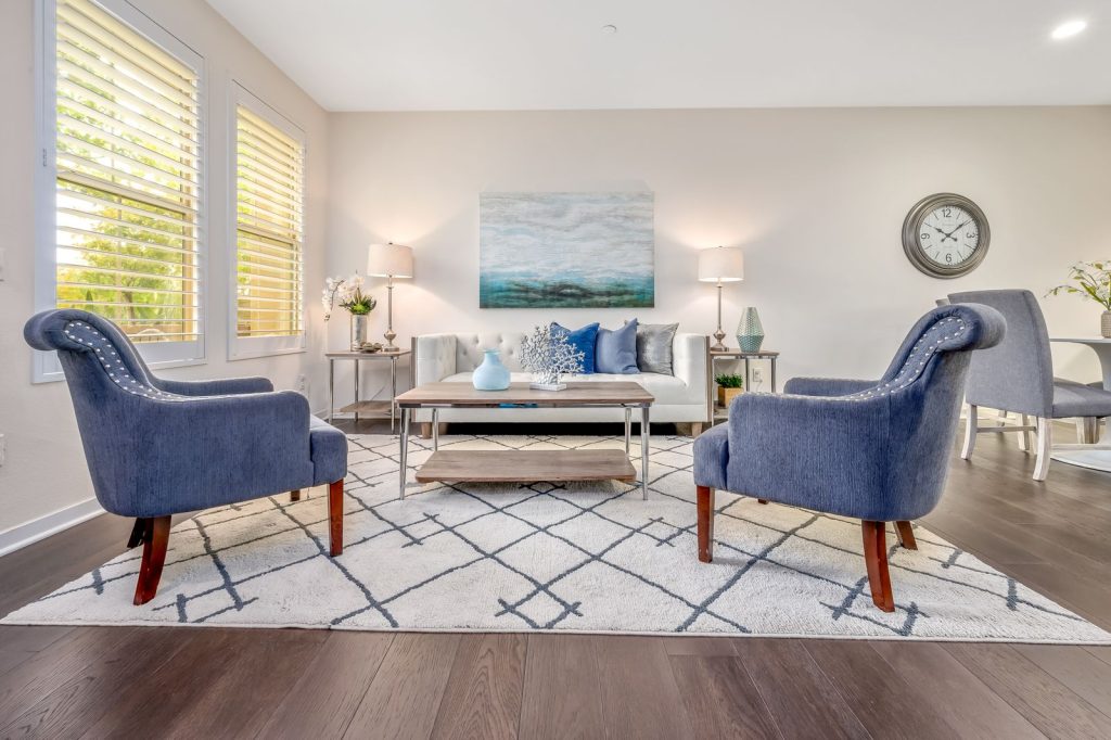 Salon lumineux avec un tapis à motifs bleu et blanc au sol.