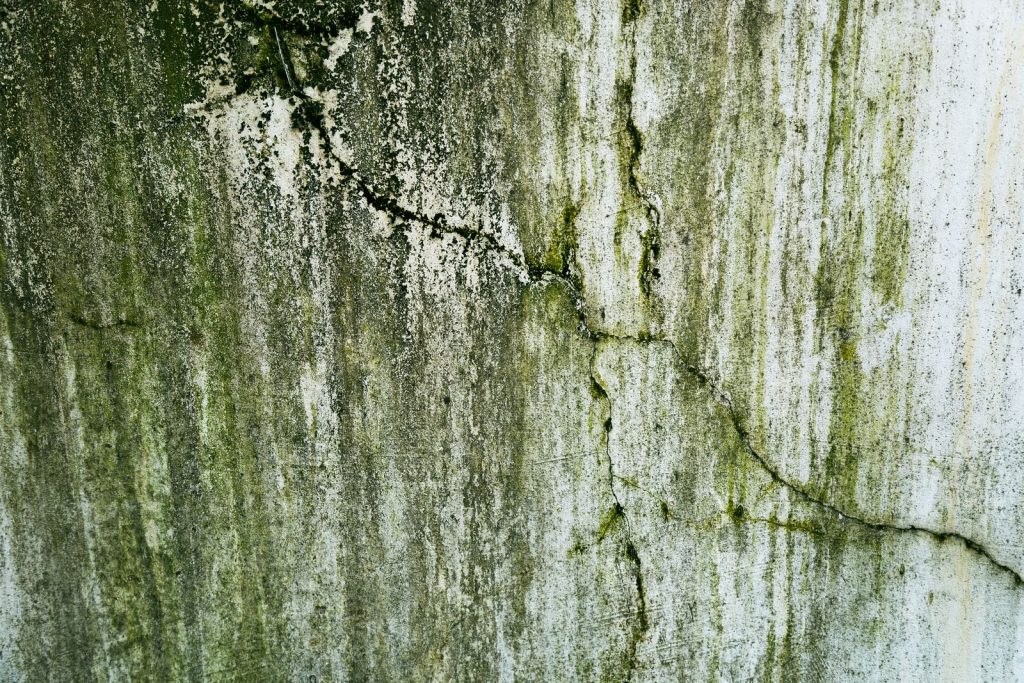 Mur fissuré recouvert de traces d'algues vertes d'humidité