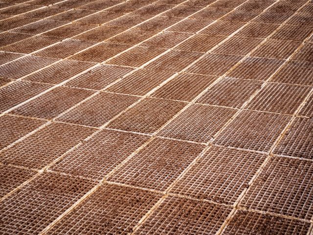 Revêtements de sol durables : un marché en pleine croissance