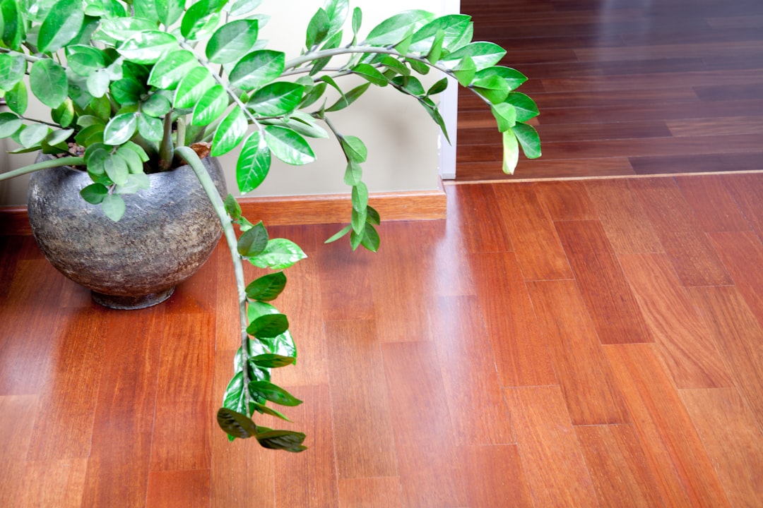Pose de parquet flottant : étapes et erreurs à éviter