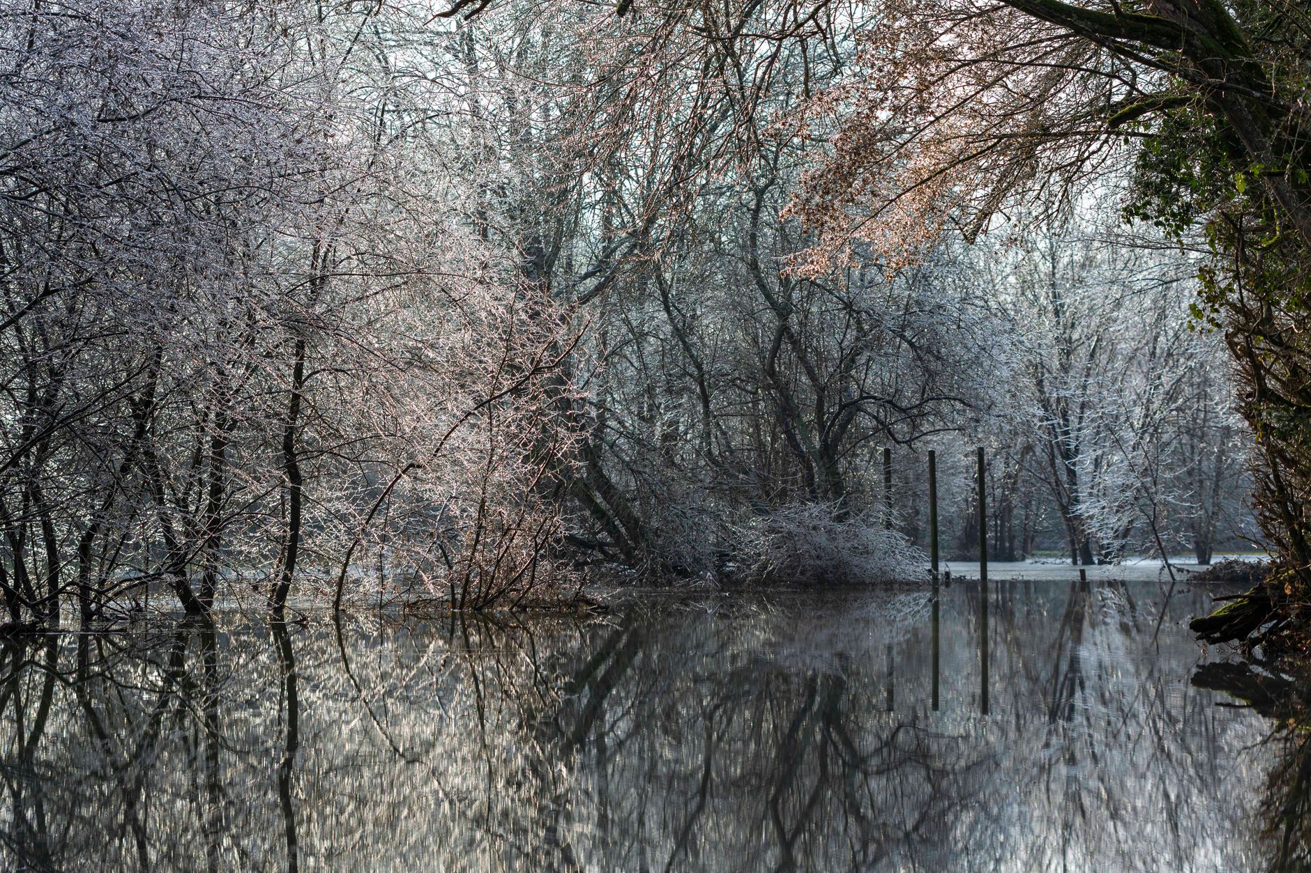 Pourquoi les tapis d'hiver séduisent-ils tant les décorateurs en 2026 ?