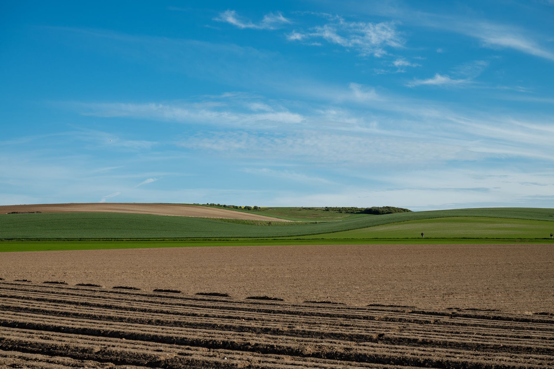 Revêtements de sol : l'impact écologique que vous ignorez