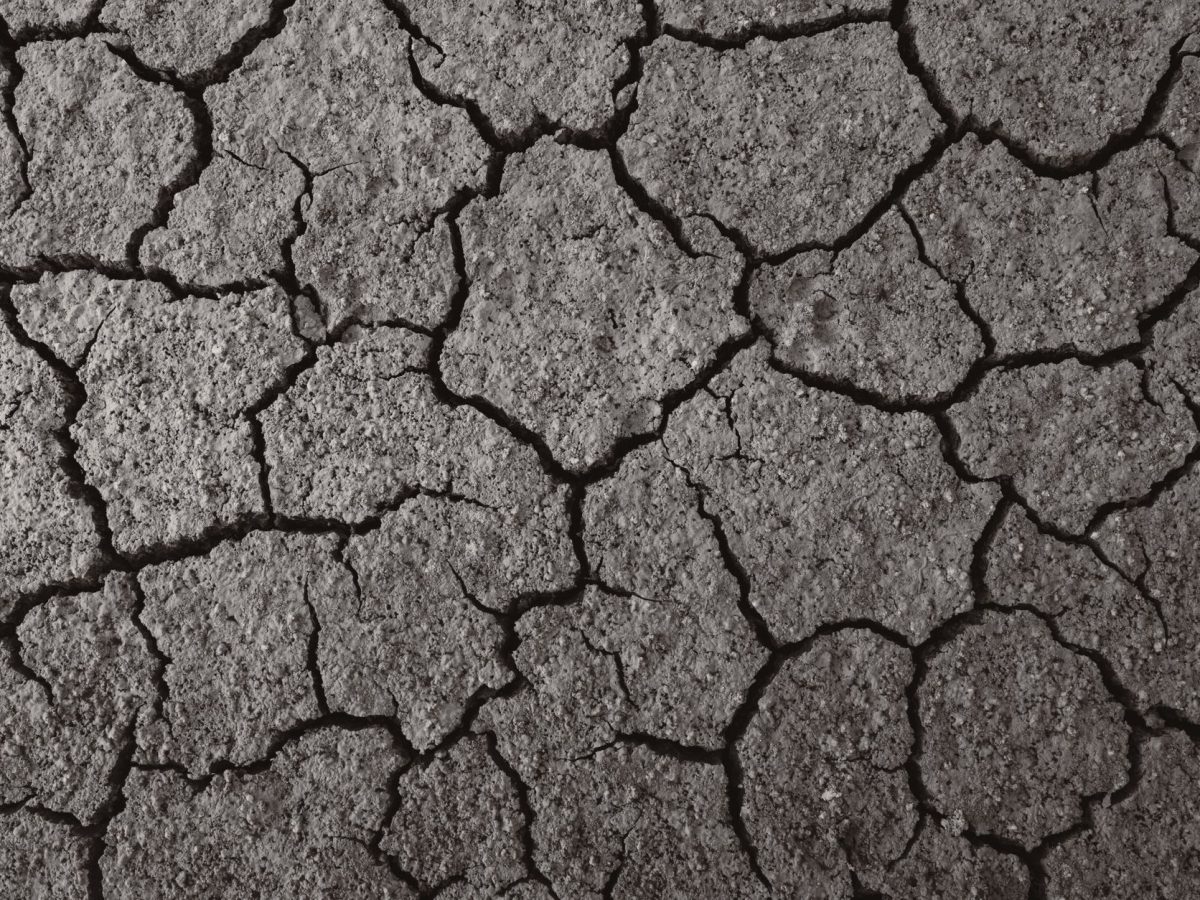 Revêtements de sol : l&rsquo;impact écologique que vous ignorez